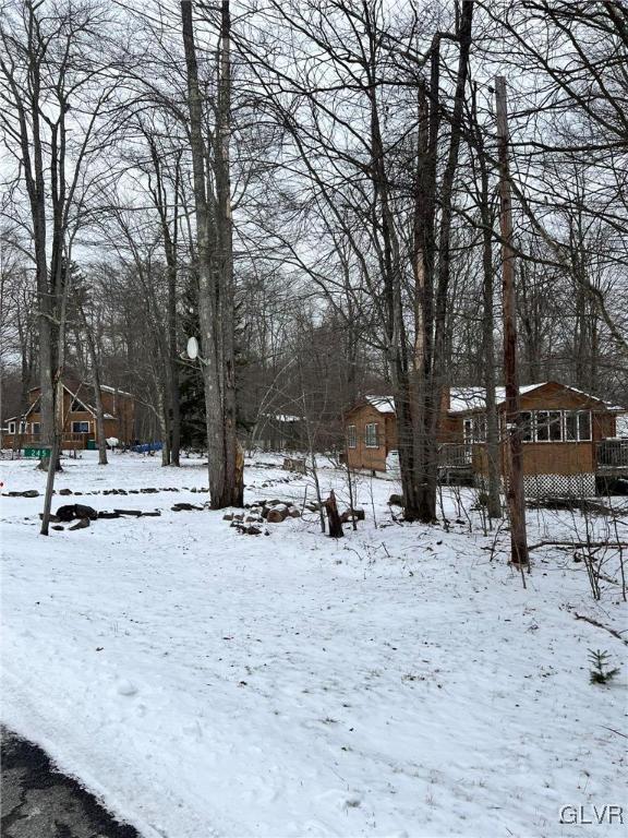 yard covered in snow with a wooden deck