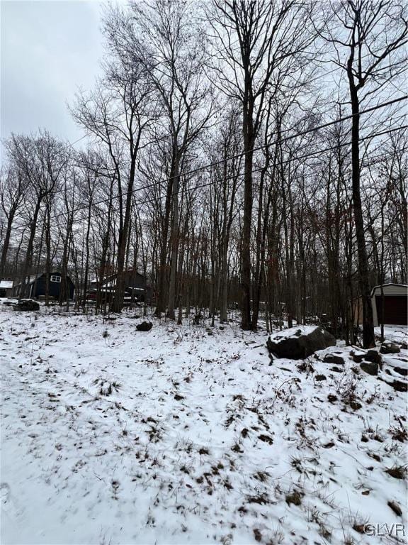 view of snowy yard