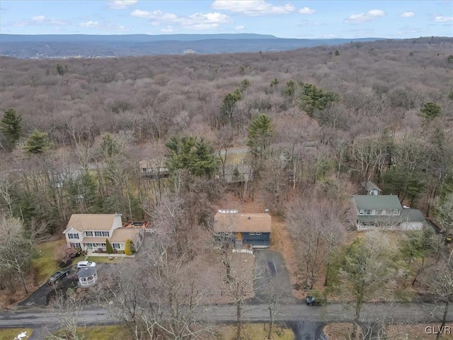 birds eye view of property featuring a mountain view