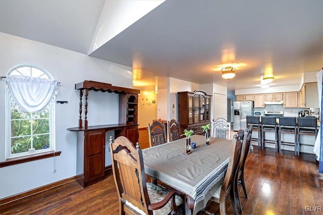 dining room with dark hardwood / wood-style flooring