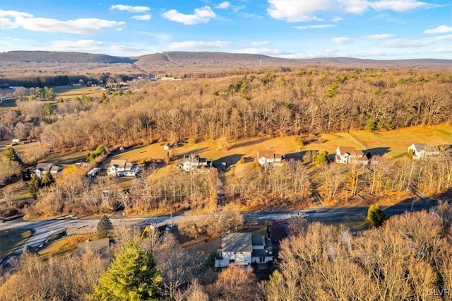 bird's eye view with a mountain view