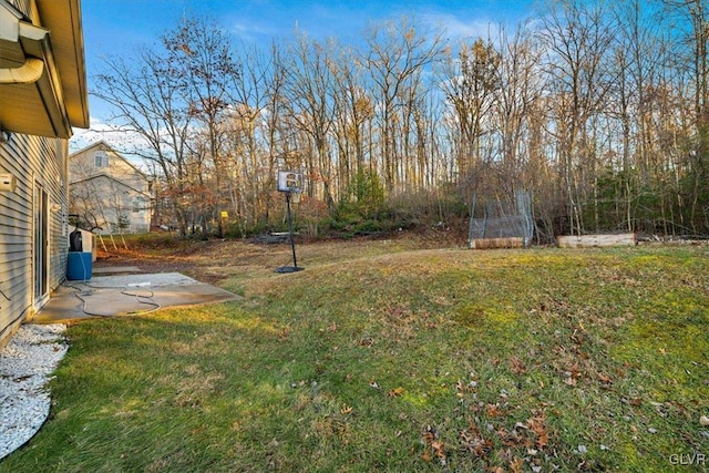 view of yard featuring a patio