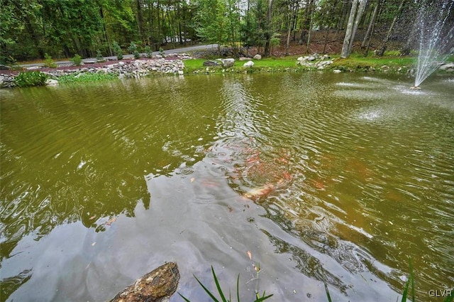 property view of water