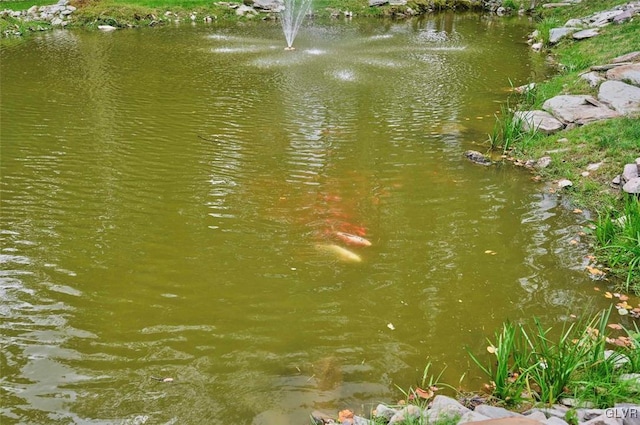 view of water feature