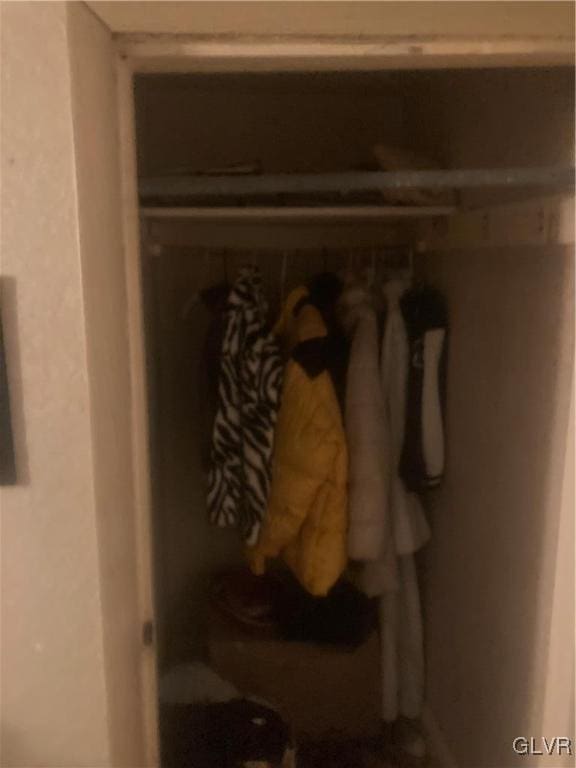 view of closet