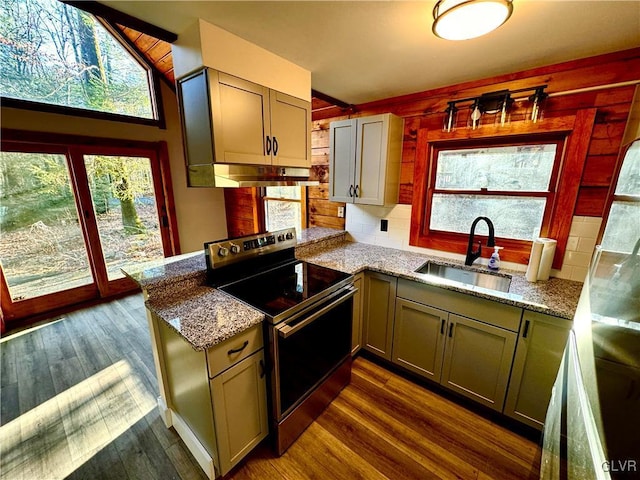 kitchen featuring electric range, dark wood-type flooring, and sink