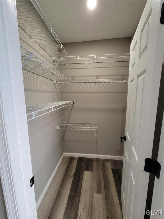 walk in closet featuring hardwood / wood-style floors