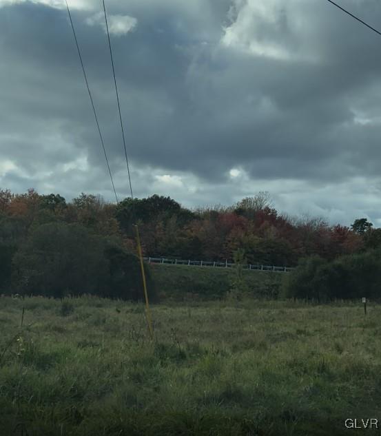 view of yard with a rural view