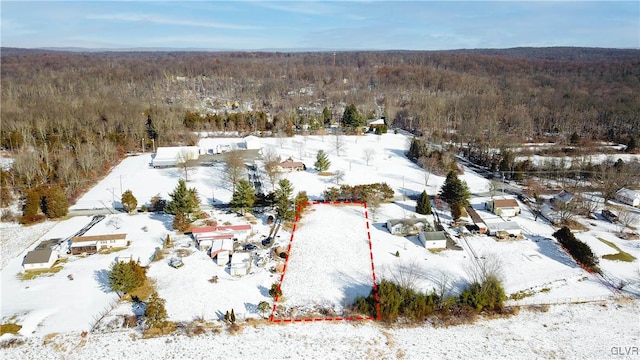 view of snowy aerial view