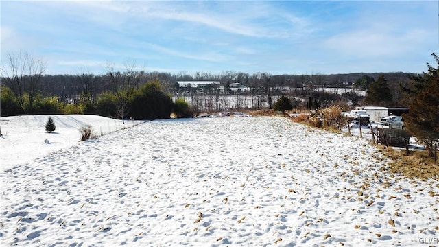 view of yard covered in snow