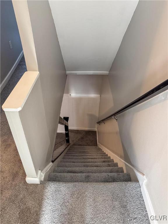 staircase featuring carpet