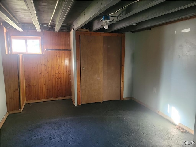 basement with wooden walls