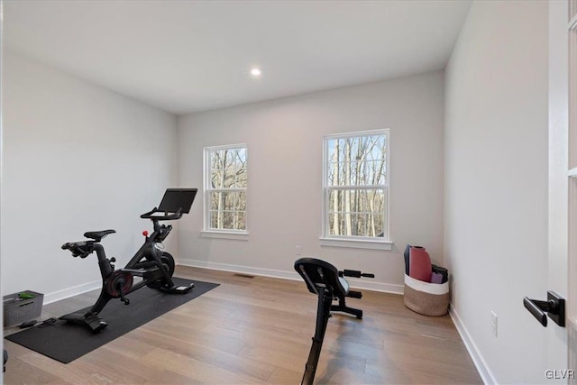 workout room featuring hardwood / wood-style floors