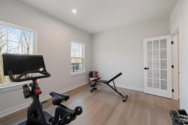 exercise room with wood-type flooring and a wealth of natural light