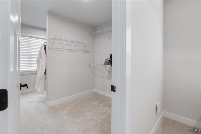 spacious closet featuring light carpet