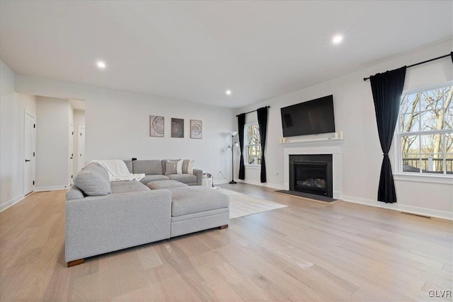 living room featuring light hardwood / wood-style floors