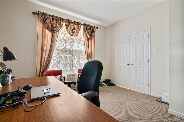 office featuring light colored carpet