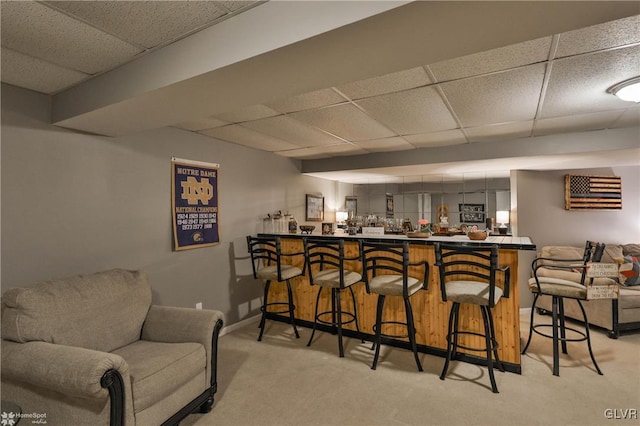 bar featuring light colored carpet and a drop ceiling