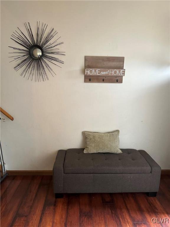 sitting room featuring dark hardwood / wood-style floors