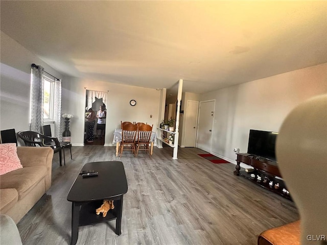 living room featuring hardwood / wood-style flooring