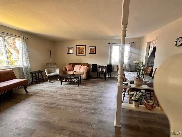 living room with wood-type flooring