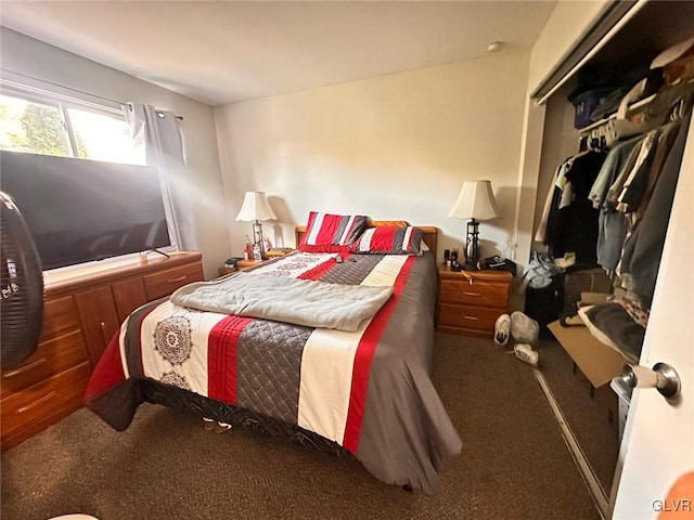 bedroom featuring carpet and a closet