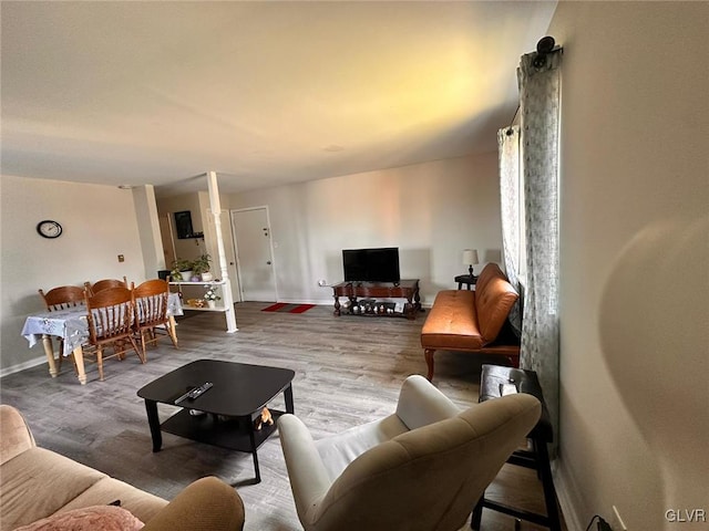 living room featuring wood-type flooring