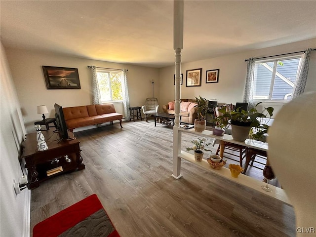 living room featuring hardwood / wood-style flooring