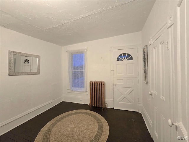 entrance foyer featuring radiator