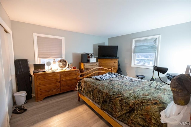 bedroom featuring hardwood / wood-style floors and a closet