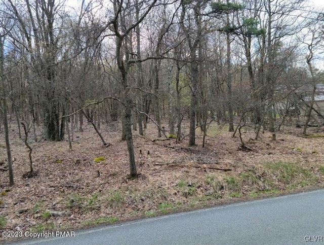 view of road