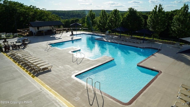 view of pool with a patio area