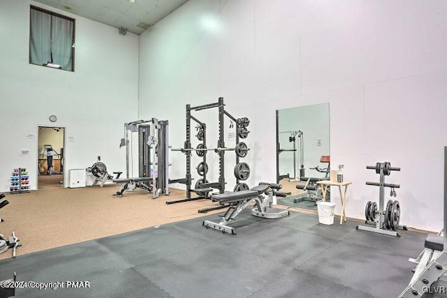 exercise room featuring a high ceiling