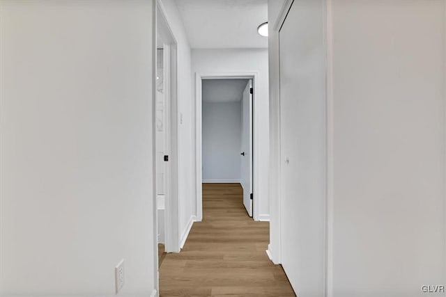 hallway featuring light wood-type flooring