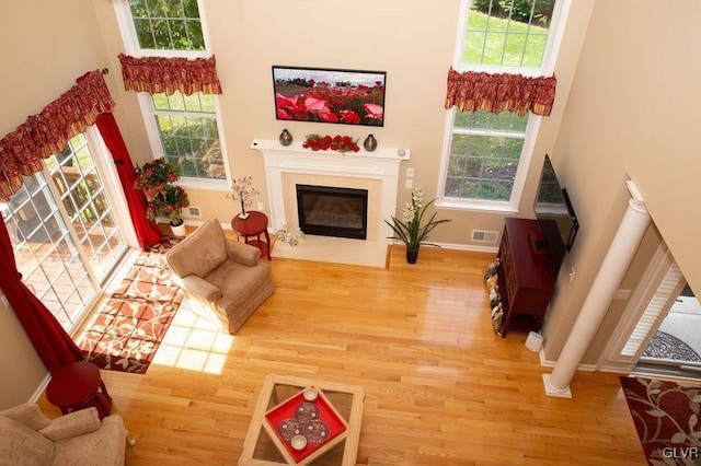 living room with hardwood / wood-style flooring, plenty of natural light, and a high ceiling