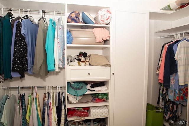 view of walk in closet