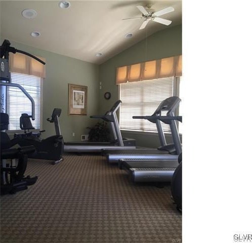 gym featuring carpet, ceiling fan, a healthy amount of sunlight, and lofted ceiling