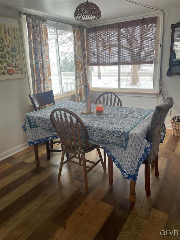 dining area with plenty of natural light and dark wood-type flooring