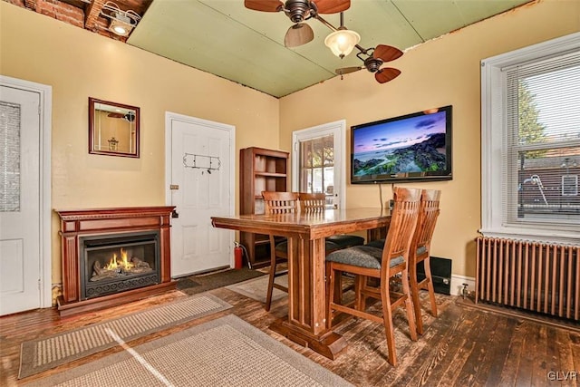 dining room featuring radiator heating unit, dark hardwood / wood-style floors, and ceiling fan