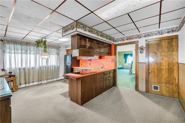 kitchen featuring a drop ceiling, light carpet, sink, stovetop, and dark brown cabinetry