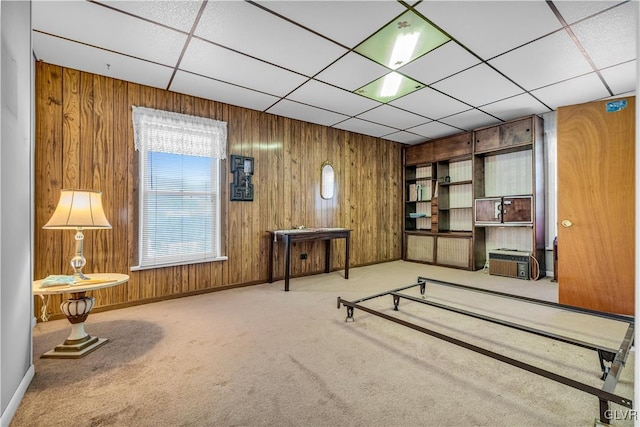 interior space with light colored carpet and wood walls