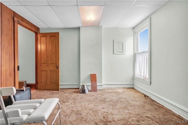 living area featuring a drop ceiling and carpet floors