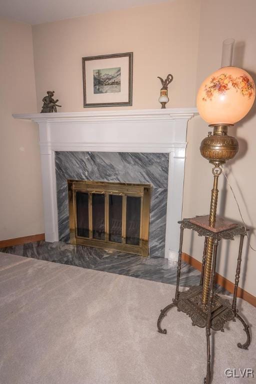 room details featuring a premium fireplace and carpet