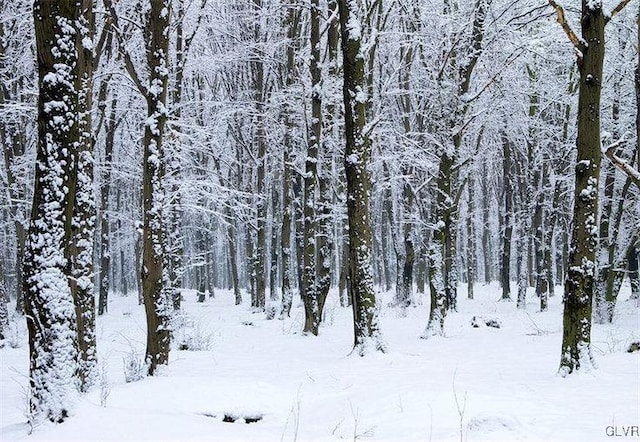 view of snowy landscape