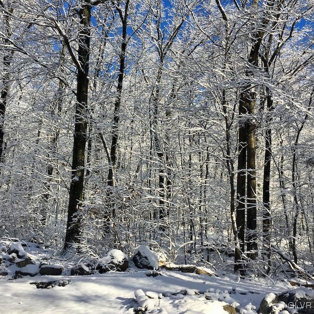 view of snow covered land