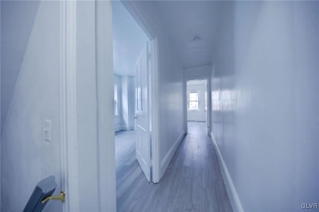 corridor featuring hardwood / wood-style floors