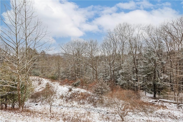 view of snowy view