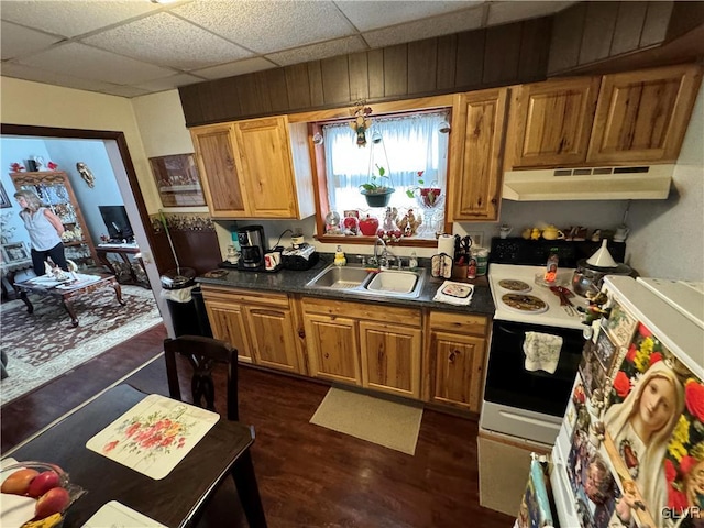 kitchen with stove, a paneled ceiling, dark hardwood / wood-style flooring, sink, and an inviting chandelier