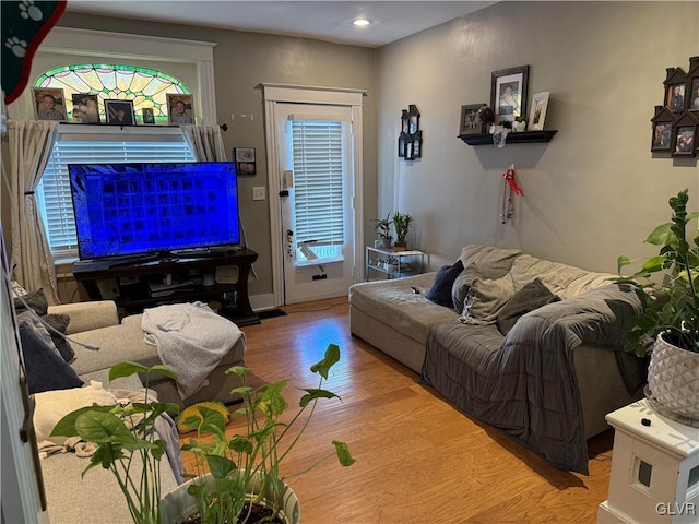 living room with wood-type flooring