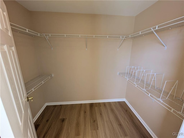 spacious closet featuring hardwood / wood-style flooring